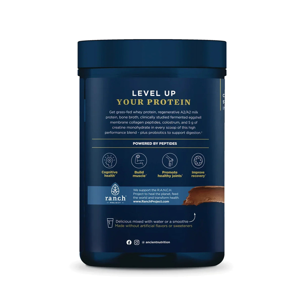 Multi Protein Animal Based + Creatine - Dark Chocolate