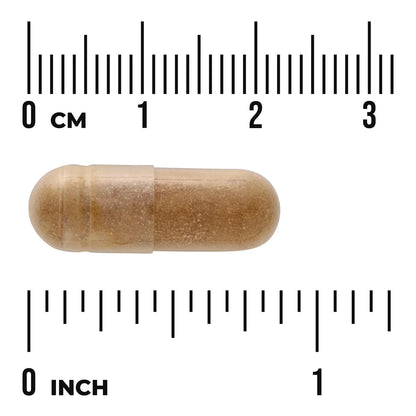 Shilajit Extract - Standardized