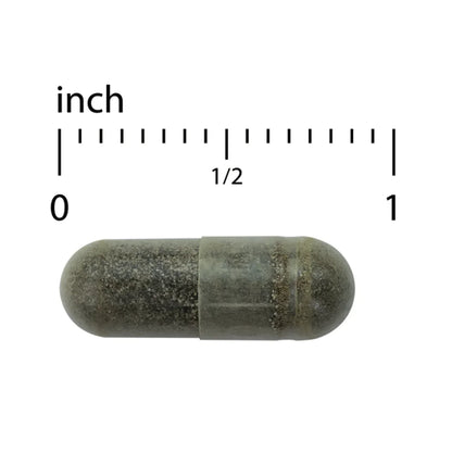 Andrographis EP80 Extra Strength