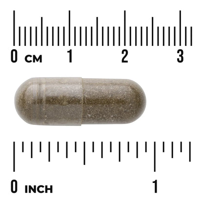 Full Spectrum Sweet Wormwood (Artemisia annua)