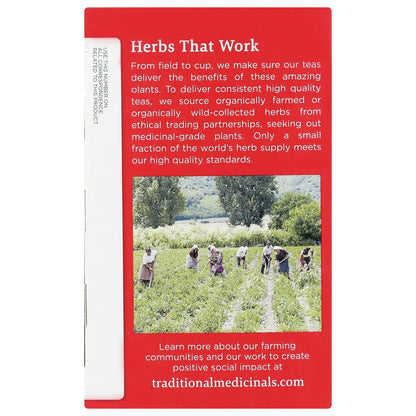 Organic Echinacea Plus Tea - Elderberry