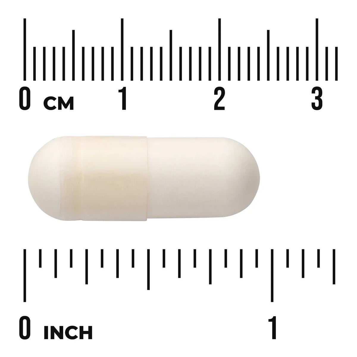 Probiotic Complex